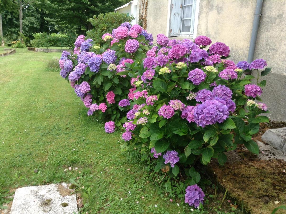 Chateau De Benac エクステリア 写真