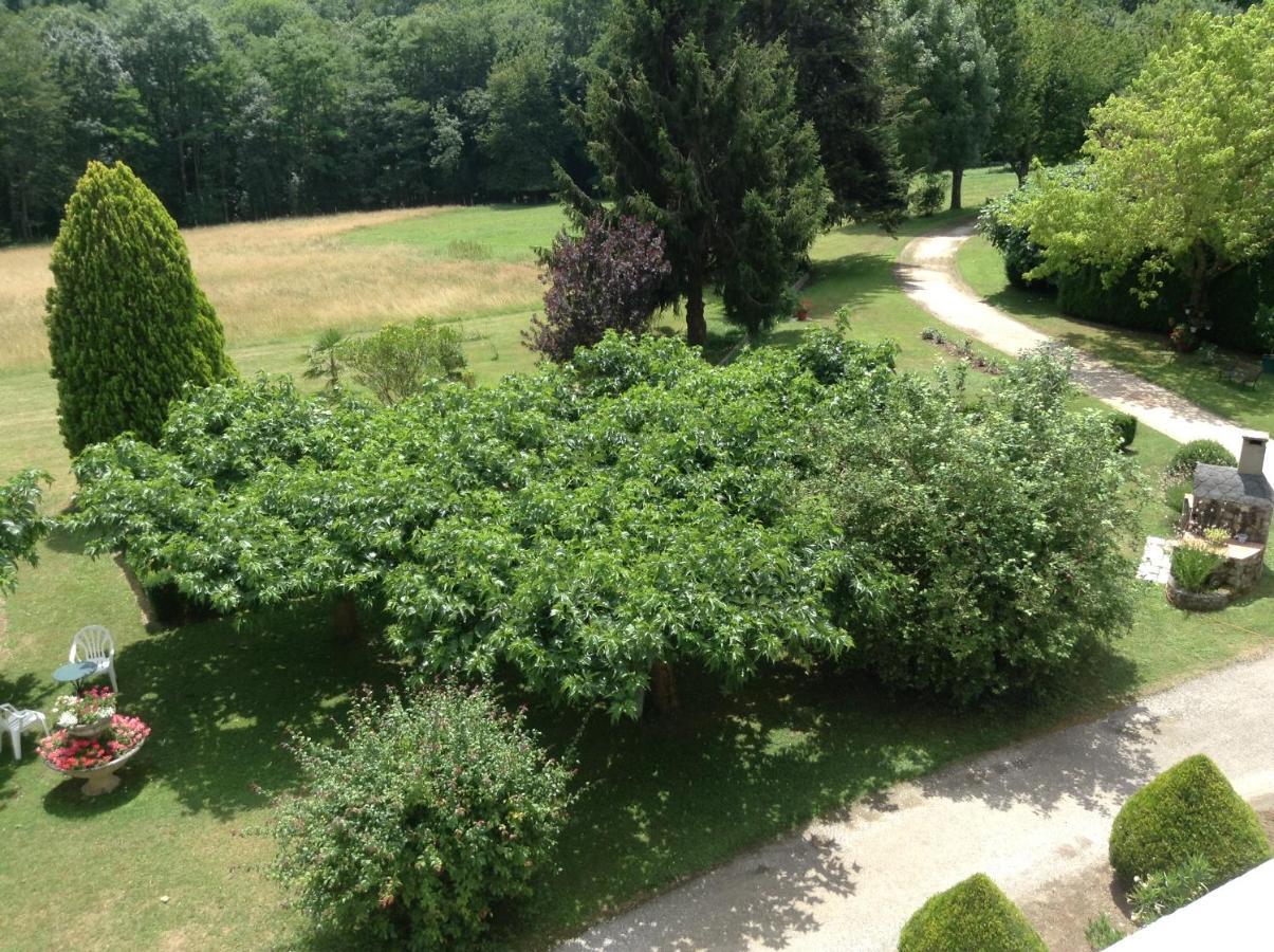 Chateau De Benac エクステリア 写真